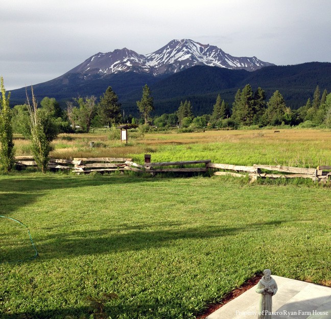 Meadow from Deck Contact Pasero/Ryan Farm House